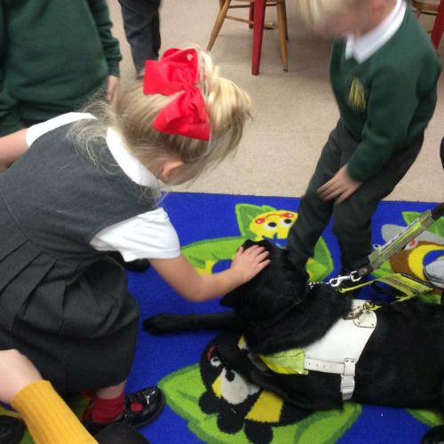 Fundraising for dogs for the blind