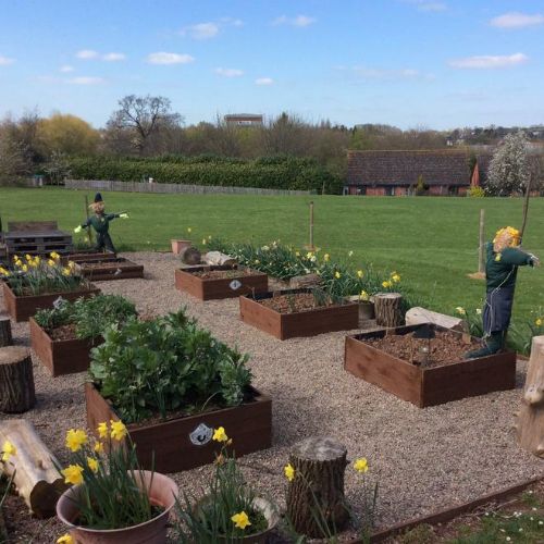 Reception created some amazing scarecrows for their growing topic